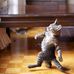 Ron Kauffman - Facebook
