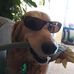 Ron Knight - Facebook