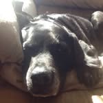 Ron Kraft - @ronkraft1 - Instagram