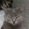 ronko.kukulik - @kukulik.ronko - TikTok