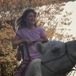 Ron Lamb - @rnldlamb - Instagram