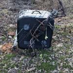 Ron Lamb - @naturenut_72yahoo.com_ - Instagram