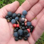 Ron Lambert - @ron.lambert.353 - Instagram