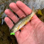 ron landis - @copperjawn - Instagram