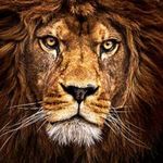 Ron Lapointe - @ronald.lapointe.963 - Instagram