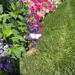 Ron Larsen - @ronny.larsen.5817 - Instagram