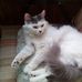 Ron Loomis - Facebook