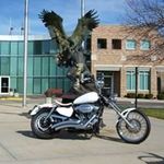 Ron Luft - @luft.ron - Instagram