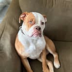 Aaron Lykins - Facebook