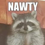 Ron Mack - @ronsraccoonfunhouse - Instagram