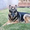 Ron Madsen - @ron.madsen8 - TikTok