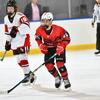 Hockey for life - @roninmalloy - TikTok