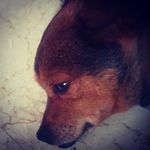 Ron - @ron_marino_ - Instagram