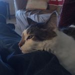 ron masters - @tybalt195 - Instagram