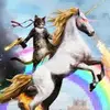 Ron Masters - @ron.masters - TikTok