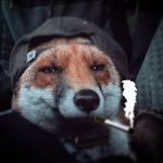 Ron Matson - @h0wthisthingw0rk - Instagram