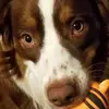 Ronna Mattingly - @ronna.mattingly0 - TikTok