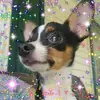 ronnettemattingly - @ronnettemattingly - TikTok