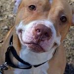 ron mayberry - @ronmayberry4 - Instagram