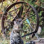 Ron McAllister - @ron.mcallister.902 - Instagram
