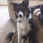Ron McAllister - @kc7sku - Instagram