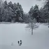 ronmcallister - @ronmcallister - TikTok
