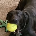 Ron McCartney - @ron.mccartney.37 - Instagram