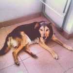 Ronald McClung - @bridotre - Instagram
