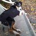 Ron McDowell - Facebook