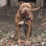 Ron McDowell - @ronnie.mcdowell.1614_be_z_know - Instagram