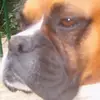 ronmcelroy753 - @ronmcelroy753 - TikTok