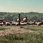 Ron Mears - @thisplaceisreallydead - Instagram
