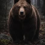 Ron Menard - Facebook