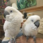 Ron Milligan - @milligan.ron - Instagram