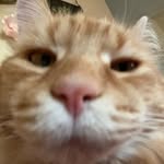 Ron Jon Monk - @ronmonk_ - Instagram