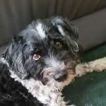 ron - @ron_monkey_ - Instagram