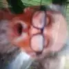 ronmonkeyronmonke - @ronmonkeyronmonke - TikTok