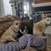 Ron Morrow - Facebook
