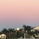 Ron Moyer - @ron.moyer.750 - Instagram
