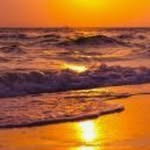 Ron Moyer - @ronmoyer99 - Instagram