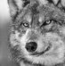 Ron Moyer Jr - Facebook