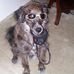 Ron Munns - Facebook