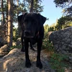Ron Munson - @rontmunson - Instagram
