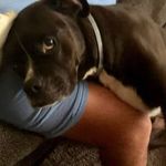 Ron Murray - @ronmurray2006 - Instagram