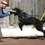 Ron Murray - @ronmurray68 - Instagram