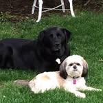 Ron Neely - @rneely6355 - Instagram