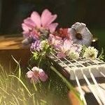 Ron Jan Newcomb - @ron.newcomb.714 - Instagram