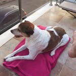 Ron Newton - @ronnewton57 - Instagram