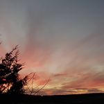 Ron Nicholls - @ronnick56 - Instagram