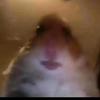 Ronnixy - @ronnixy - TikTok